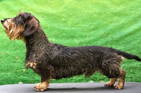 /album/co-jsme-kryli/black-od-jpg/